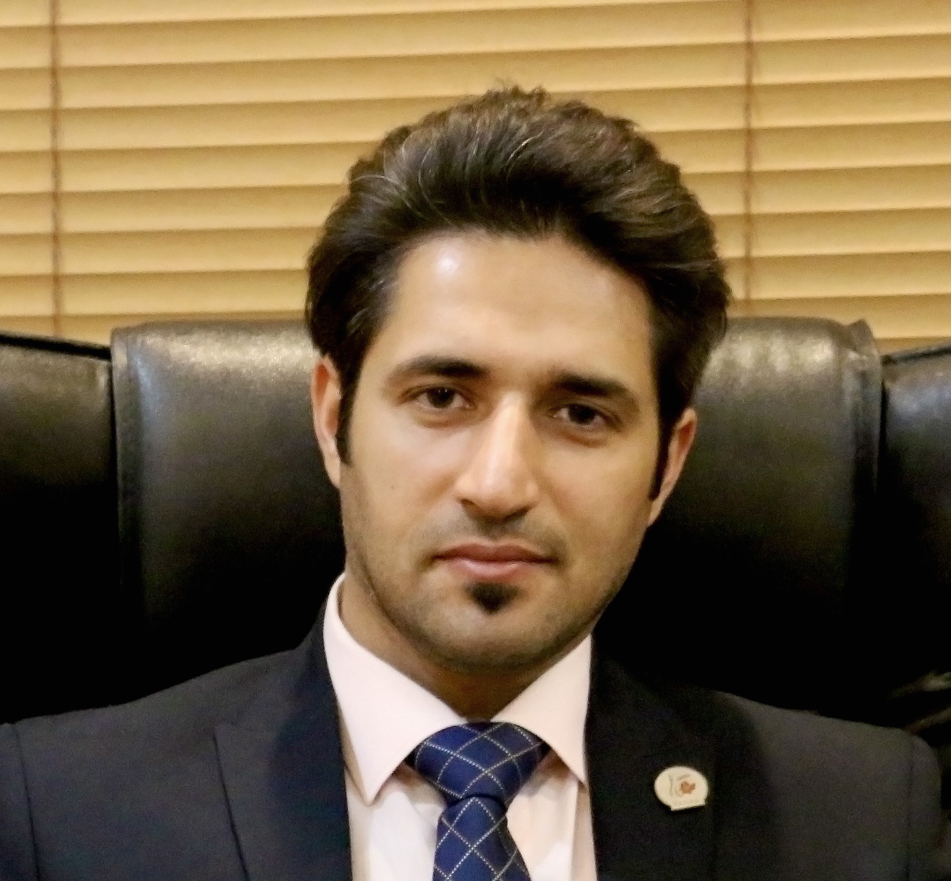 هادی فرمانی